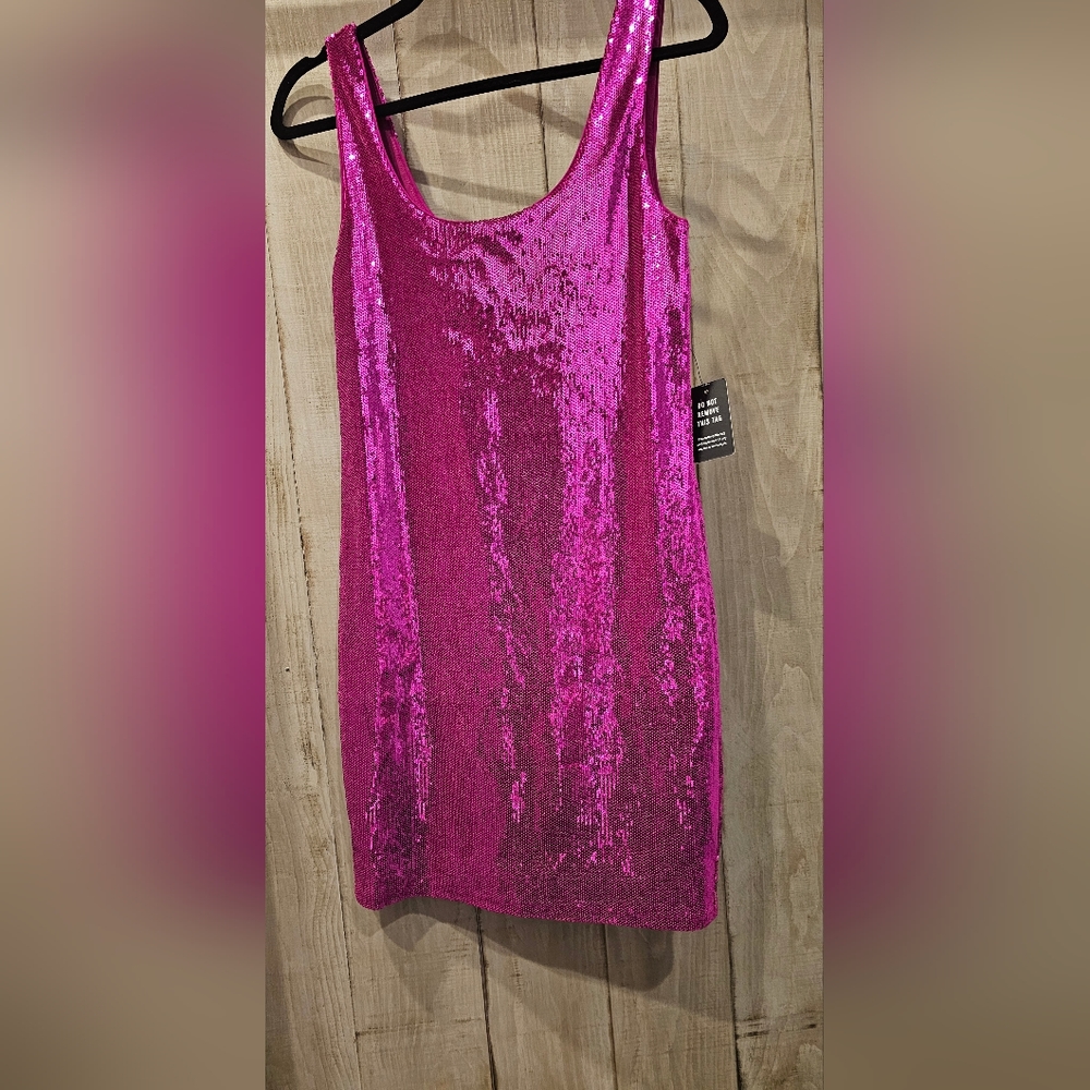 Express Sparkley Countour Cocktail Dress